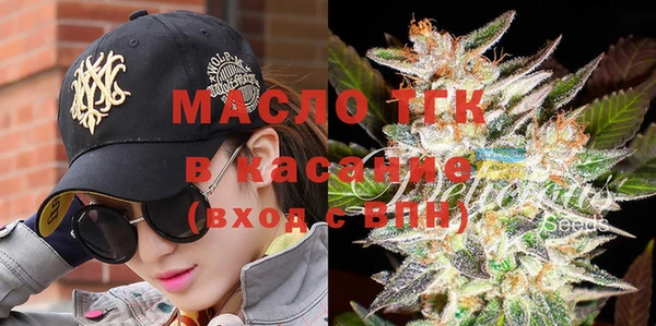 гашик Алексин