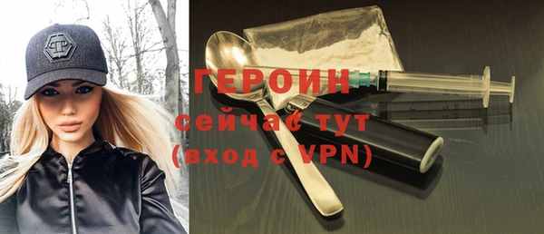 гашик Алексин