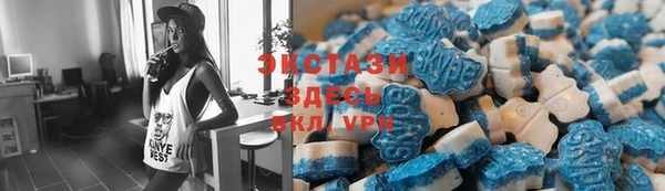 гашик Алексин