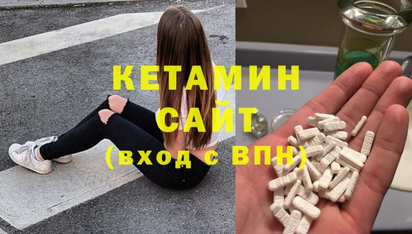 гашик Алексин