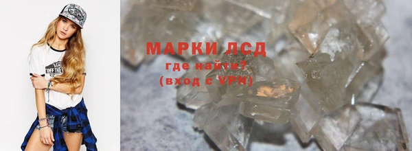 гашик Алексин