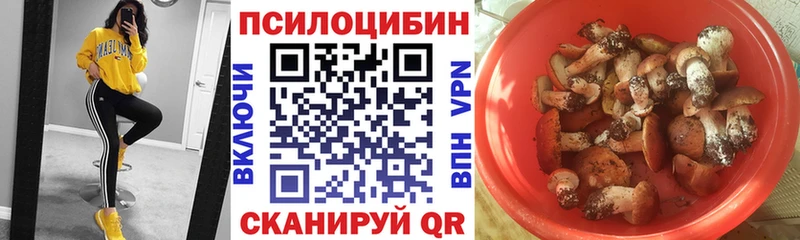 Псилоцибиновые грибы GOLDEN TEACHER  Кирсанов 